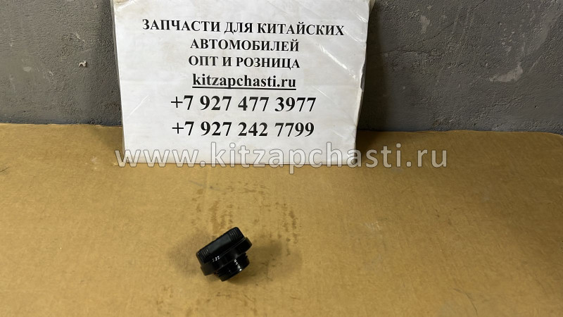 Крышка маслозаливной горловины HAVAL H2 1003520A-EG01T